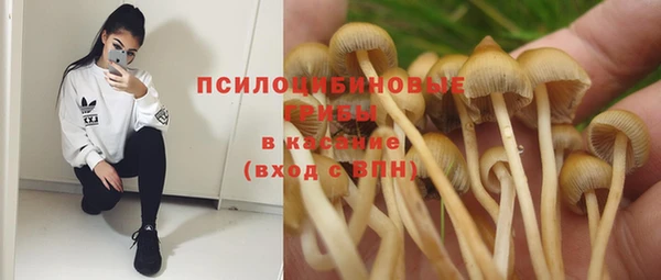 мяу мяу мука Саяногорск