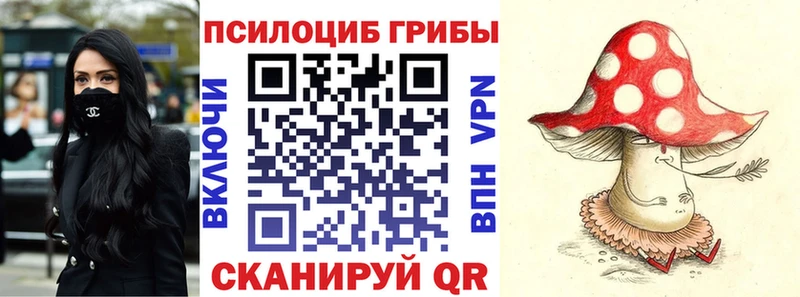 Псилоцибиновые грибы Cubensis  Карачев 